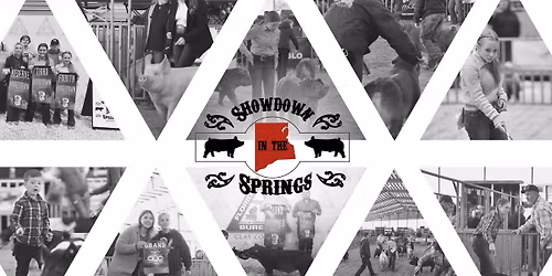 Showdown in the Springs Jackpot Swine Show