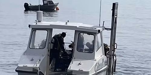 Porthkerris Diving Weekend 7th - 9th August 2026