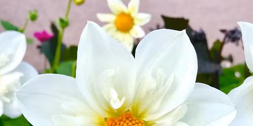 Advanced course on mindful interaction Sat 13.12. at 10-13:30