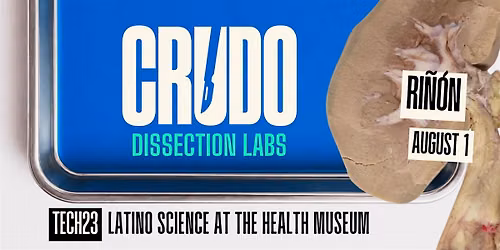 CRUDO: Dissection Labs for Latinos at the Health Museum - Kidney
