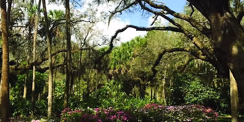 Parking Garden State Live