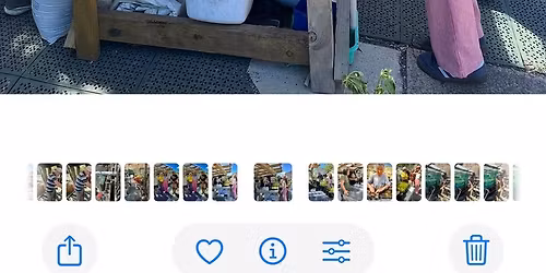 Weekend Nature Nursery Session at NCN Devonport 