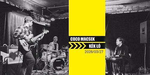 Coco Macsek @K\u00e9k L\u00f3