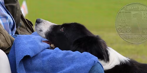 \tSpassSport Wettkampf Uster