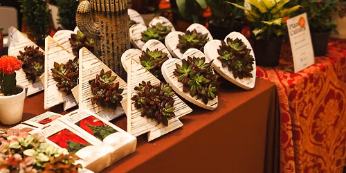 Oasis Holiday Makers' Fair