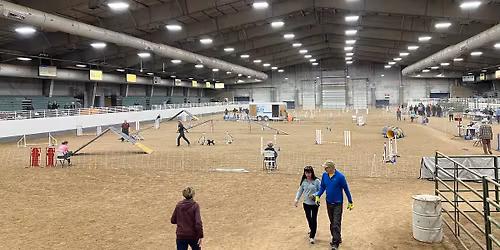 Salty Dogz Agility Club of Utah February trial