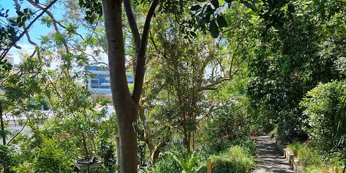 Church Walk Park Community Open Day 
