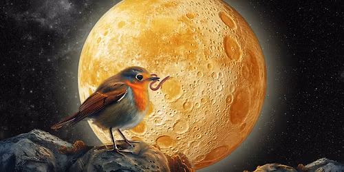 Monthly Full Moon Meditation w\/ Lynn (Worm Moon, lunar eclipse)