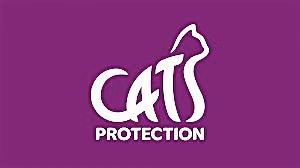 Barn Dance with Cats Protection