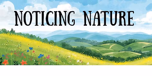 Noticing Nature with Hugging Tree