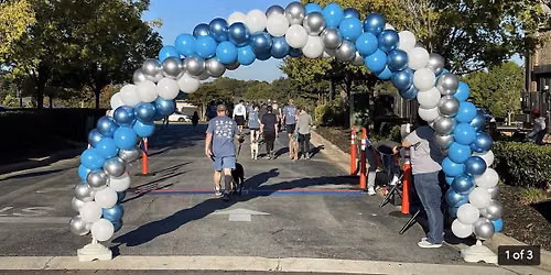 Fido Fest 5K | 10th Anniversary
