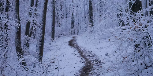 Mad\u00e1retet\u0151 t\u00fara a Rotary k\u00f6rs\u00e9t\u00e1ny ment\u00e9n