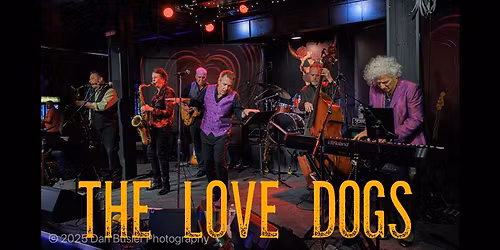 THE LOVE DOGS - LIVE AT THE FALLOUT SHELTER