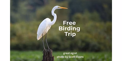 Bloomington Area Birding FB Group and WBU Birding Trip, Northfork