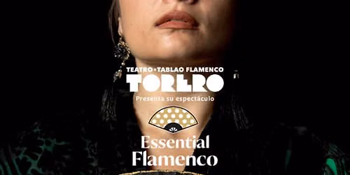 Essential Flamenco: La Experiencia Flamenca m\u00e1s aut\u00e9ntica de Madrid
