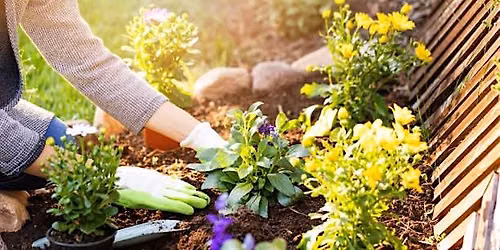 Let\u2019s Get Digging! Rain Garden Planting at City Hall
