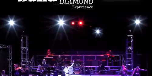 Solitary Band - The Neil Diamond Experience