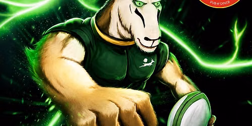 Bokke vs All Black