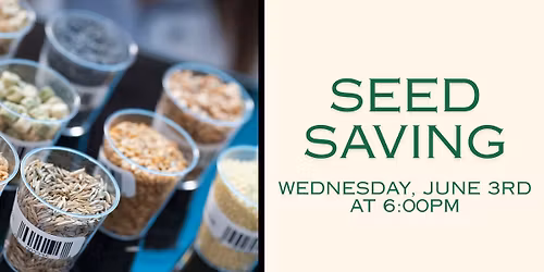 Seed Saving