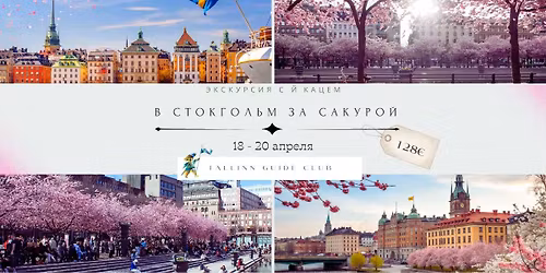 \u0412 \u0421\u0442\u043e\u043a\u0433\u043e\u043b\u044c\u043c \u0437\u0430 \u0441\u0430\u043a\u0443\u0440\u043e\u0439 \u0441 \u0419\u043e\u0441\u0435\u0444\u043e\u043c \u041a\u0430\u0446\u0435\u043c