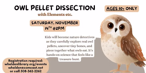 Kid's Only Owl Pellet Dissection