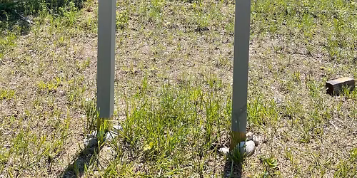 Wildwood Harbor Nature Area Expansion Ribbon Cutting