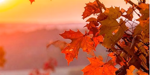 Autumn Equinox Restorative Yoga, Cacao and Sound Healing Ceremony