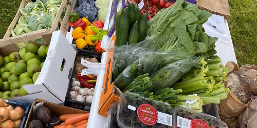 Chapelton Festive Farmers\u2019 Market