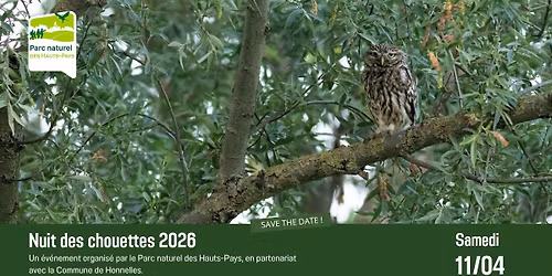 Nuit des chouettes