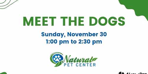 Meet the Dogs at Natural Pet Center 