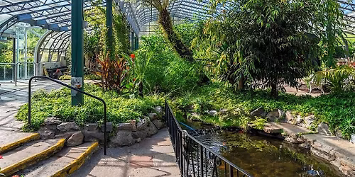 Wildlife Watch - Winter Gardens Walk @ Duthie Park