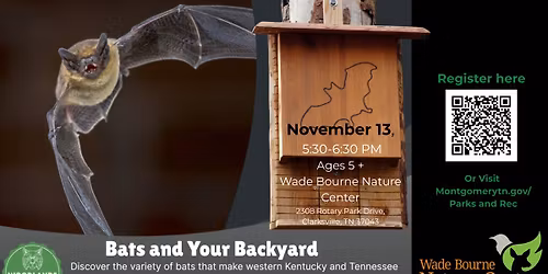 Bats and Your Backyard