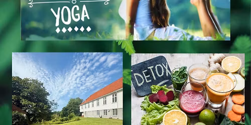 KORTREIST~YOGA & VELV\u00c6RE S\u00d8NDAG FOR KROPP & SINN,omringet vakre naturomgivelser ved havet\ud83c\udf3f