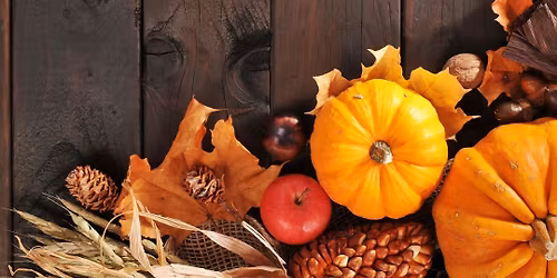 Thanksgiving Day Yoga!