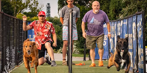DockDogs\u00ae at Dog Daze @ Village Green