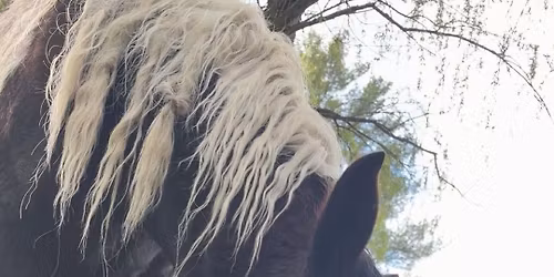 Mother\u2019s Day fundraiser 