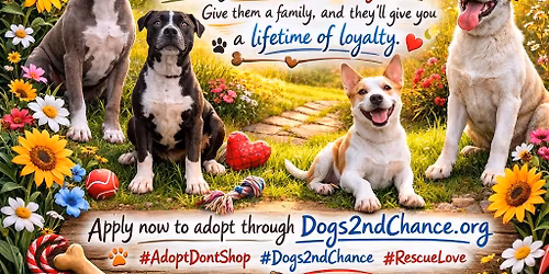 Dogs 2nd Chance Meet & Greet at Hollywood Feed Bartlett