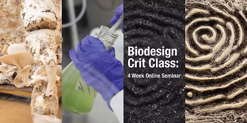 Biodesign Critique Class ONLINE - August Tuesdays