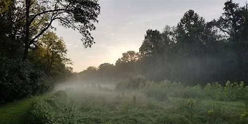 Build a Wildlife Hibernaculum from Invasive Plants