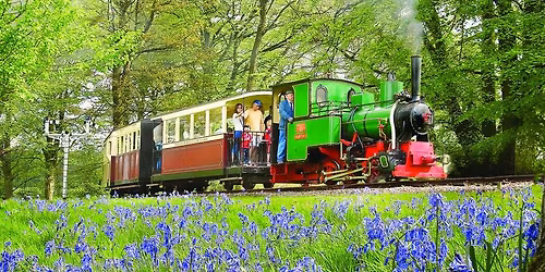 Bluebells Steam Event Day at Bredgar Railway