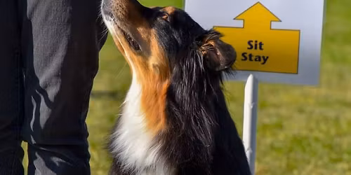 Rally Skills - Drop in