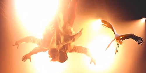 Cirqus Hial\u00f8s (NO) \/\/ Festspillene i Nord-Norge