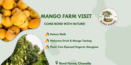 Mango Farm Visit