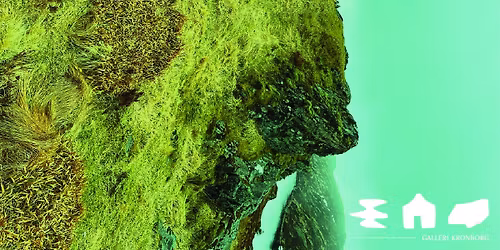 Remote Viewers - Exhibition Opening