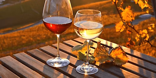 Fall Seasonal Wine Sampling