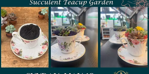 Mother's Day Succulent Bar