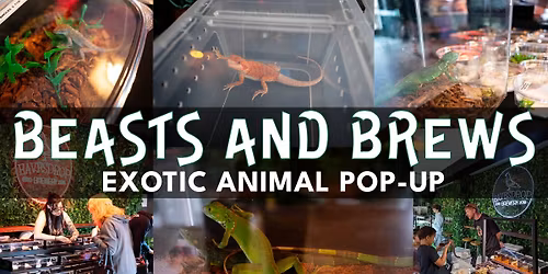 Beasts And Brews: Exotic Animal Pop Up 
