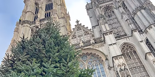 \ud83c\udfbc Zondagsmuziek - 07\/12 - 'Van Advent naar Kerst'