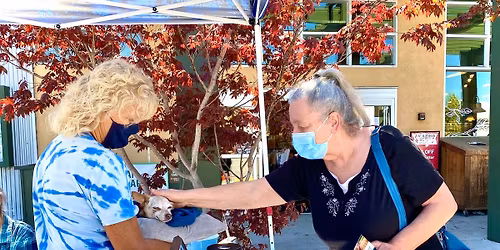 Pet Pals Adoption Event