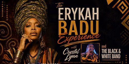 The Erykah Badu Experience